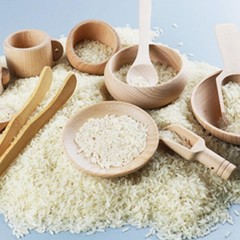 10 Pcs Wooden Sensory Bin Tools for Toddlers & Preschool Children, Montessori…