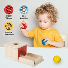 Wooden Toy for 6-12 Month Baby 3 Balls,Sorting and Stacking Colorful Learning Ed