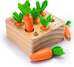 Montessori Toys for Babies 6-12 Months, Wooden Toys for 1 Year Old Boys