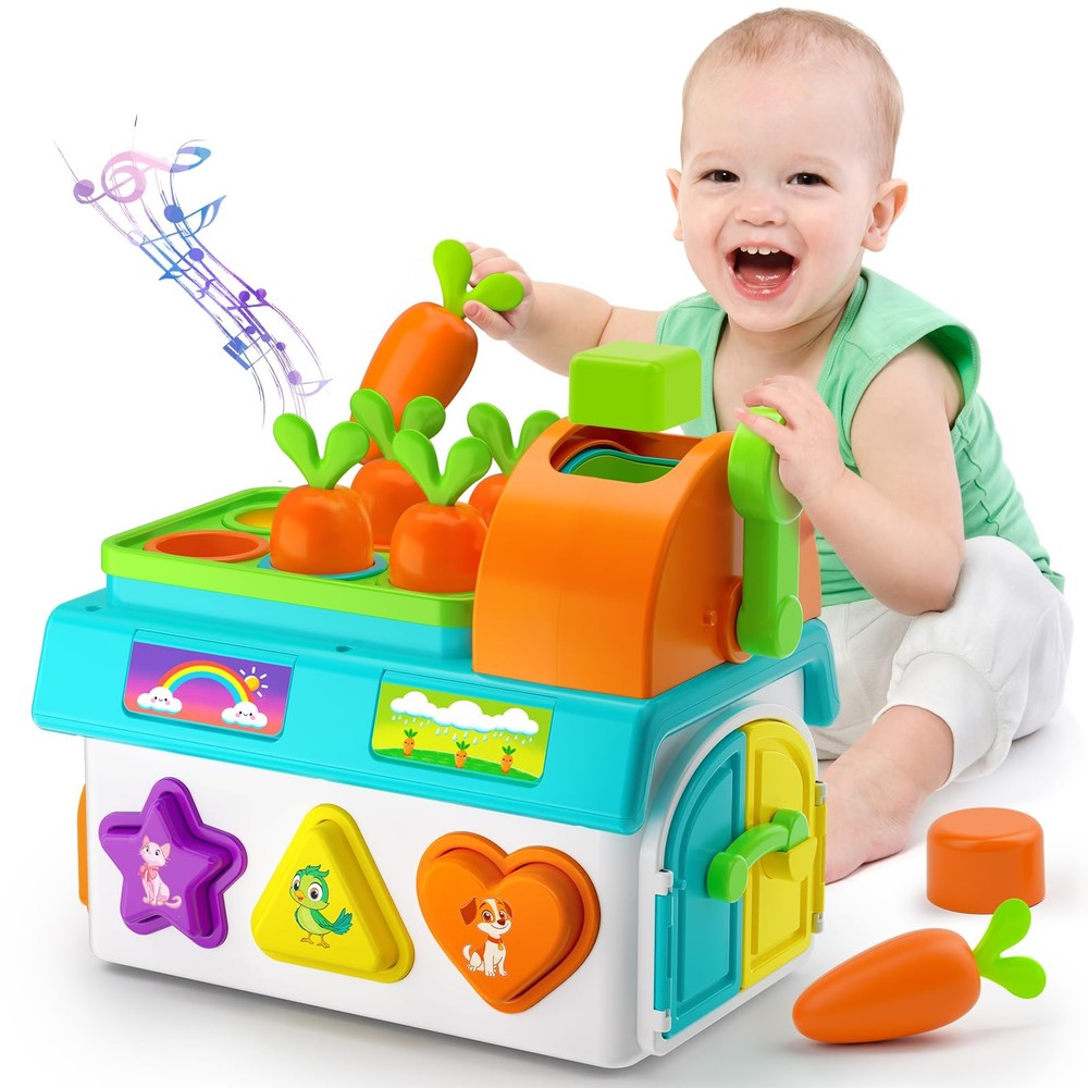 Learning Toys for 1,2 Year Old Girl Boy Gifts, Montessori Shape Sorting Toys …