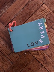 Lovevery The Play Gym Play Guide Book 0-12 Months Activities for Play Gym