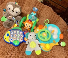 Bright Starts Lot Of Baby Toys Sloth Spinner Giggle Fish Snuggle & Teethe …