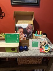 LOVEVERY Toys The Thinker Play Kit Months 11-12 Montessori Wood Incomplete SH7