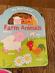 Kids Board Books Baby Toddler Toys Interactive LEARNING Lot of 3
