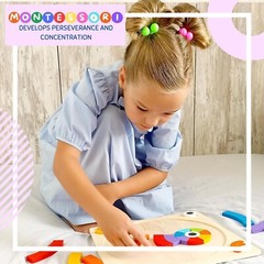Montessori Wooden Puzzle Problem Solver Play Kit for Toddlers Pattern Blocks 3+