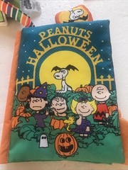 Peanuts Halloween Deluxe Soft Crinkle Book Hanging Stroller Toy