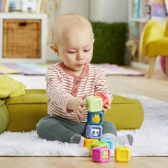 Critter Building Blocks, and Baby for Ages 6 Months and Up (Exclusive)