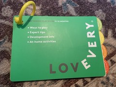 LOVEVERY The Thinker Playkit Guide 11-12 Months – Replacement Manual