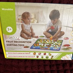 Sorting Toys for Toddlers,Fruit Sorting Matching Game,Addition and Subtraction