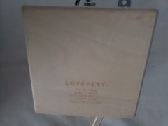 Lovevery Lock Box The Realist Wood Latch (19-21 Mo) Montessori Educational