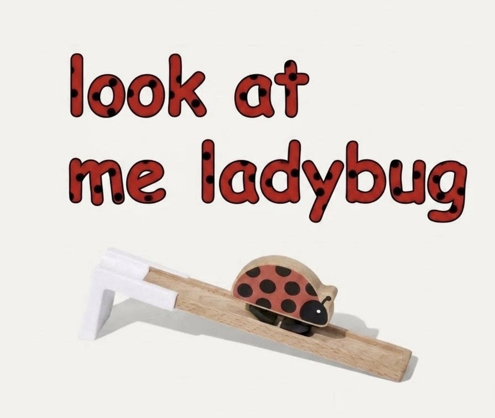 NEW Viral Lovevery Look At Me Ladybug Toy 0-2 mo. Sealed Box Rare Hard To Find.
