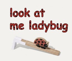 NEW Viral Lovevery Look At Me Ladybug Toy 0-2 mo. Sealed Box Rare Hard To Find.