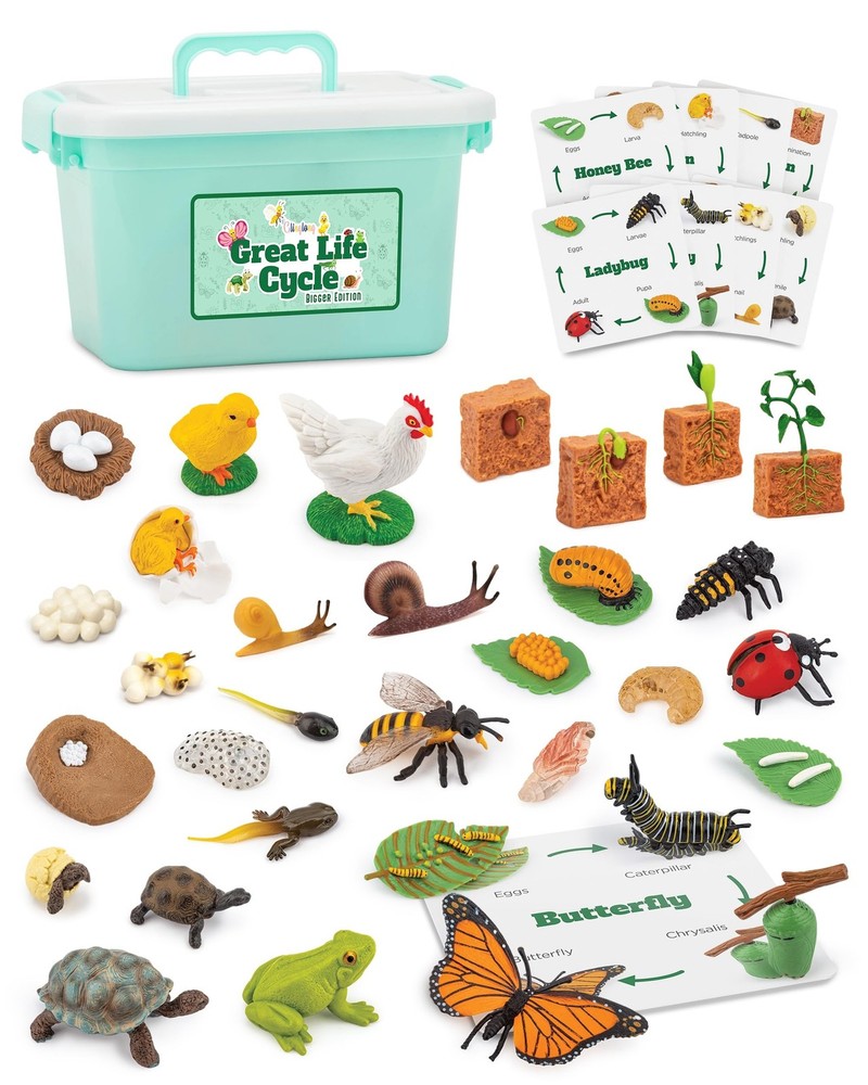Life Cycle Animal Kit, 32 Piece Montessori Science Toy, Frog, Ladybug, Butter…