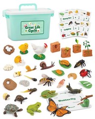 Life Cycle Animal Kit, 32 Piece Montessori Science Toy, Frog, Ladybug, Butter…
