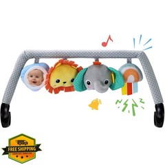TinlyFinly Bouncer Bar Colorful Animals Toys