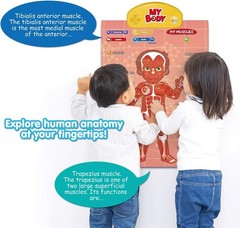 Interactive Educational Anatomy Toy – i-Poster My Body for Kids Ages 5-12