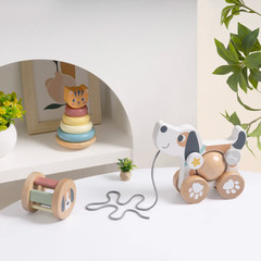 Wooden Dog Pull Along Toy Cat Stacking Rings Baby Toddler Learning Toy Set