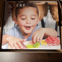 Lovevery The Analyst Play Kit for Months 46, 47, 48 3.5-4 Years Montessori
