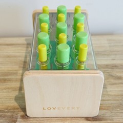 Lovevery Wooden Posting Stand 3D Puzzle The Companion Play Kit Months 22, 23, 24