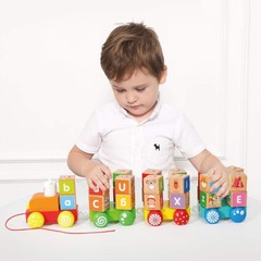 26 colorful letter blocks ABC Wooden block Cart Montessori Preschool Learning