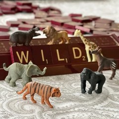 Wild Fun Pack – Mini Figures of Wild Animals – Educational Toy Set for Boys,