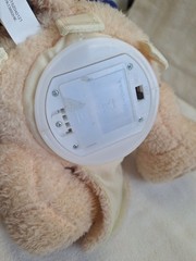 Spark Create Imagine Interactive Learning Bear Recites Stories, Sings Songs READ