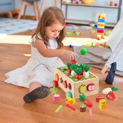Montessori Wooden Shape Sorting Toy for 1-3 Olds