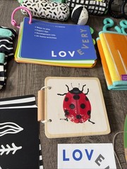 COMPLETE Lovevery The Looker Play Kit Newborn Infant Original Used