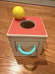 Lovevery Hide And Find Drop Ball Box With Door Montessori Wooden Baby Toy