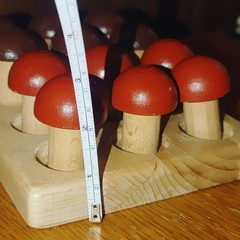 Montessori Wooden Mushroom Peg Sorting Game Child Educational Toy Solid Beech