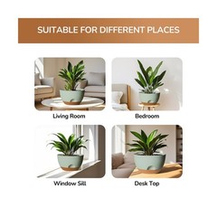 12 Inch Large Self Watering Pots, 2 Pack Plant Pots with Draina… FAST USA SHIP