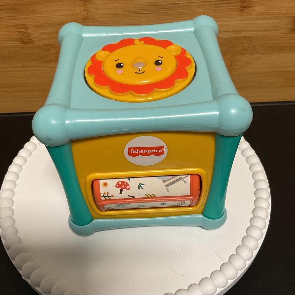 Fisher Price Animal Activity Cube Ages 6-36 Months Fun Exploration Toy