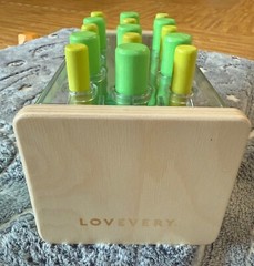 Lovevery Wooden Posting Stand and Pegs 22 23 24 months Companion Play Kit