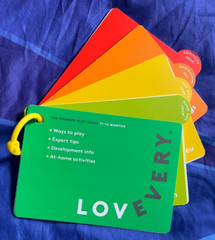 Lovevery Play Guide, The Thinker Play Kit, 11-12 Months, Montessori Toy Book