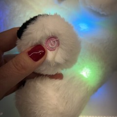 Glow Guards 10” LED Koala Stuffed Animals Light Up Musical Comforting Plush TAG