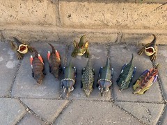7 PCS Dinosaur Toys Pull Back Cars and 3 Dinosaurs