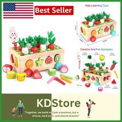 Educational STEM Wooden Toys for Toddlers – Shape Matching & Color Recognition!