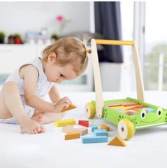 New — Jamohom Wooden Frog Baby Learning Walker Activity Center Toy with Blocks