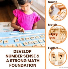 Educational Montessori Math Manipulatives