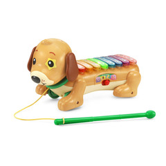 Zoo Jamz Doggy Xylophone with Accessories, Baby and Toddler Toys