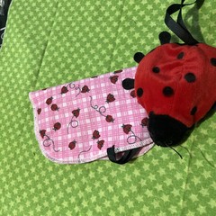 BABY TOYS Ladybugs 0-6 months Crinkle Teether Hanging Toy Girls Set Of 2