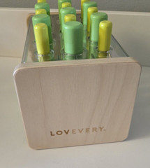 Lovevery Wooden Posting Stand COMPLETE Companion Play Kit 22, 23, 24 Months