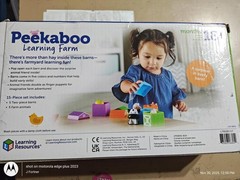 Learning Resources Peekaboo Learning Farm – 10 Pieces, Ages 18+ Months Toddler L