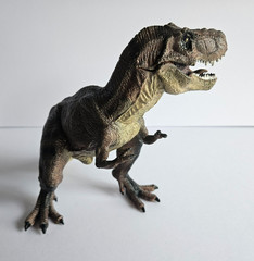Winsenpro 5PCS Jumbo Dinosaur Set,13” Realistic Looking Dinosaur Toy Set for …
