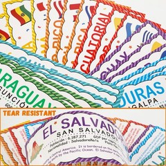 21 PCS Spanish Language Country Posters Flags Classroom Decorations Latin Ame…