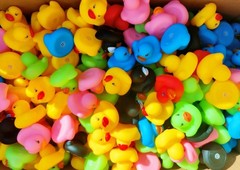 DZTIAN 12 Pcs Multicolored Mini Multicolor Rubber Ducks Melange Duck(12pcs)