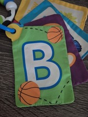 BABY EINSTEIN Take Along Discovery Cards Clip-on 10 Images Crinkle Teether Toy.