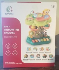 Baby Kids Toddler 9 IN 1 Toy MUSICAL LIGHT UP WISDOM TREE Entertainment Toy02