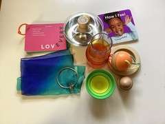 Lovevery The Explorer Play Kit Items for 9-10 Month Olds Excellent Condition
