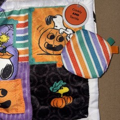 Peanuts Halloween Deluxe Crinkle Square Teether Stroller Toy NEW